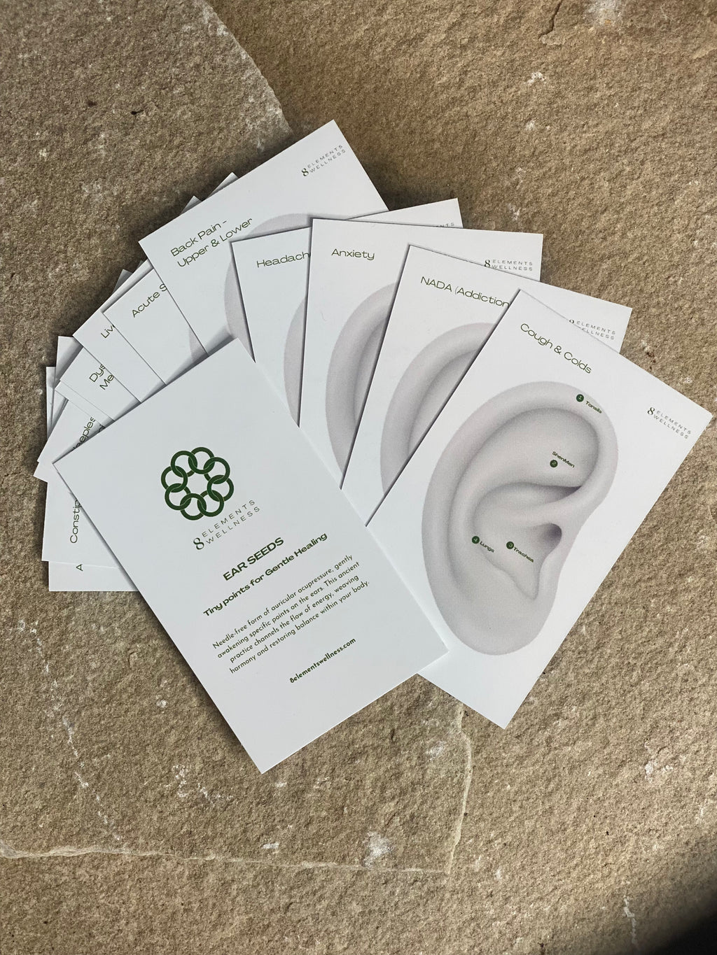 24ct Gold Ear Seeds